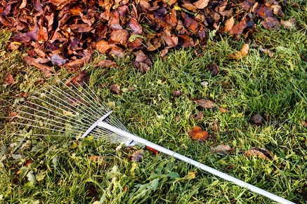 6 top autumn lawn care tips