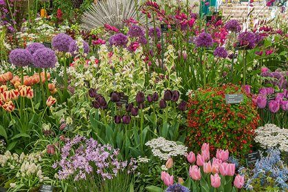 The RHS Chelsea Flower Show is celebrating the Queen’s 90th birthday this year