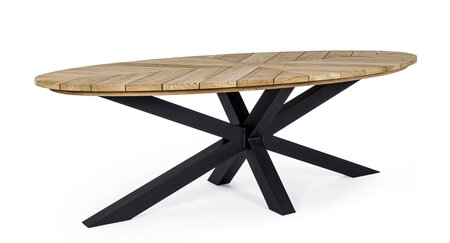 PALMDALE CARBON RT02 OVAL TABLE 240X110 - image 1